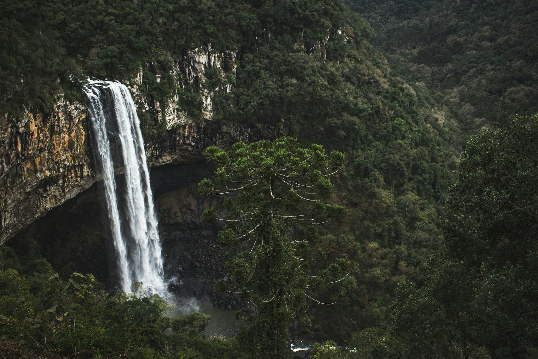 A stunning waterfall cascading over a rocky cliff surrounded by lush green forest.