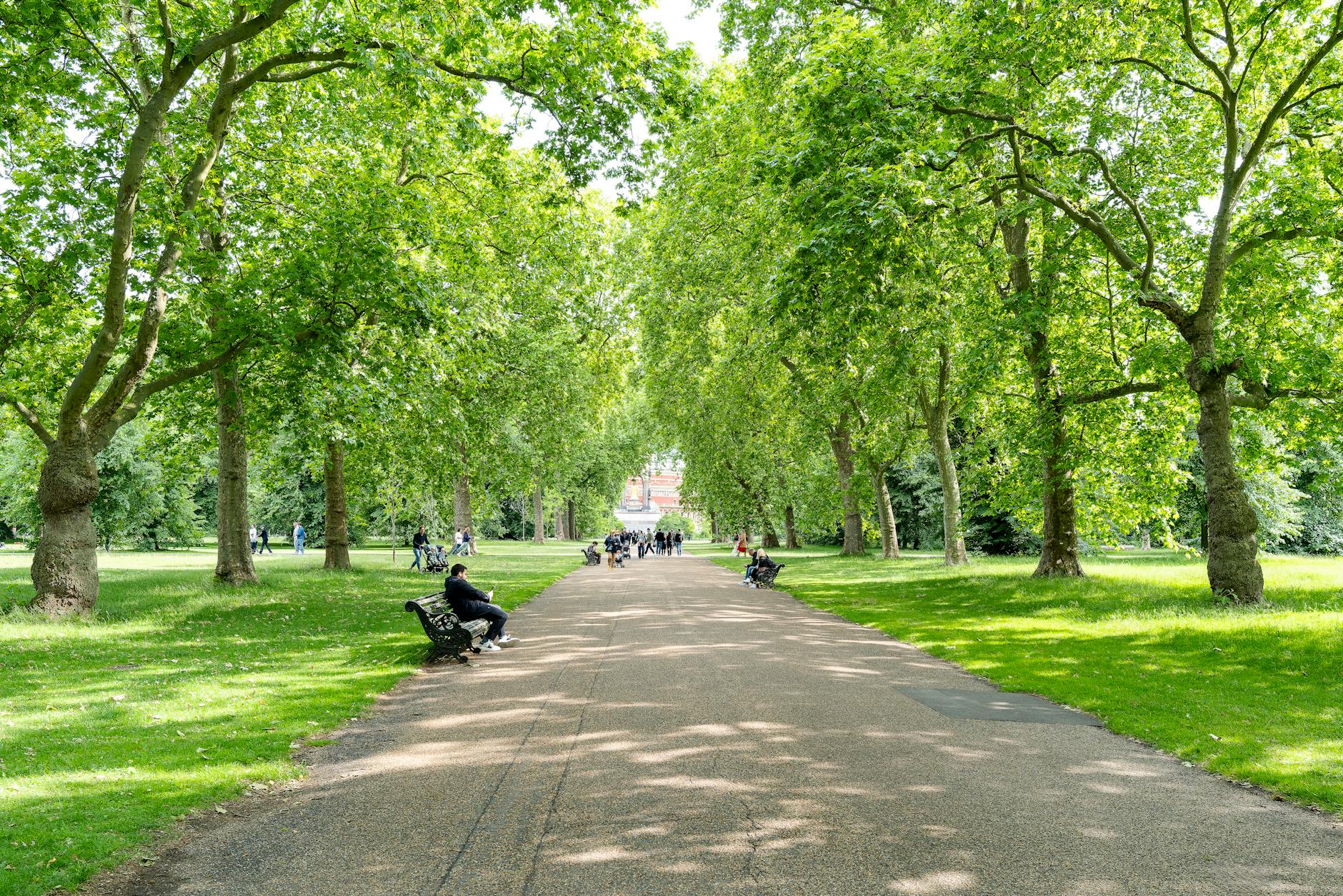 A peaceful summer day in a London park with benches and lush green trees lining a pathway.