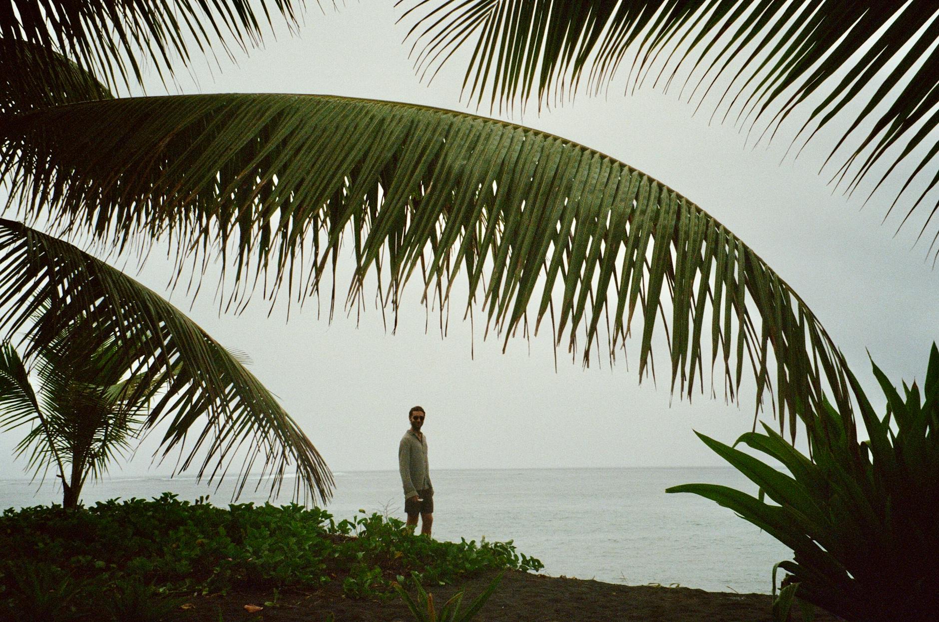 A peaceful scene featuring a person on a tropical beach under palm trees in French Polynesia.