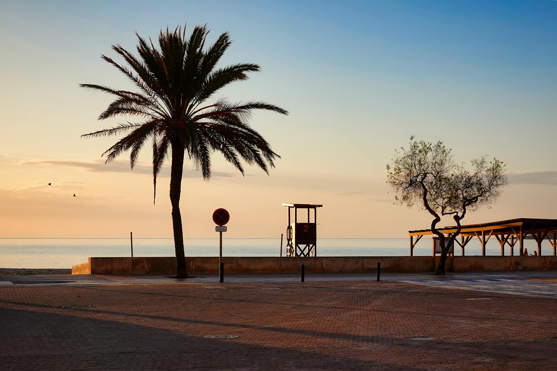 View of Cala Millor beach at sunset featuring a palm tree and lifeguard tower.