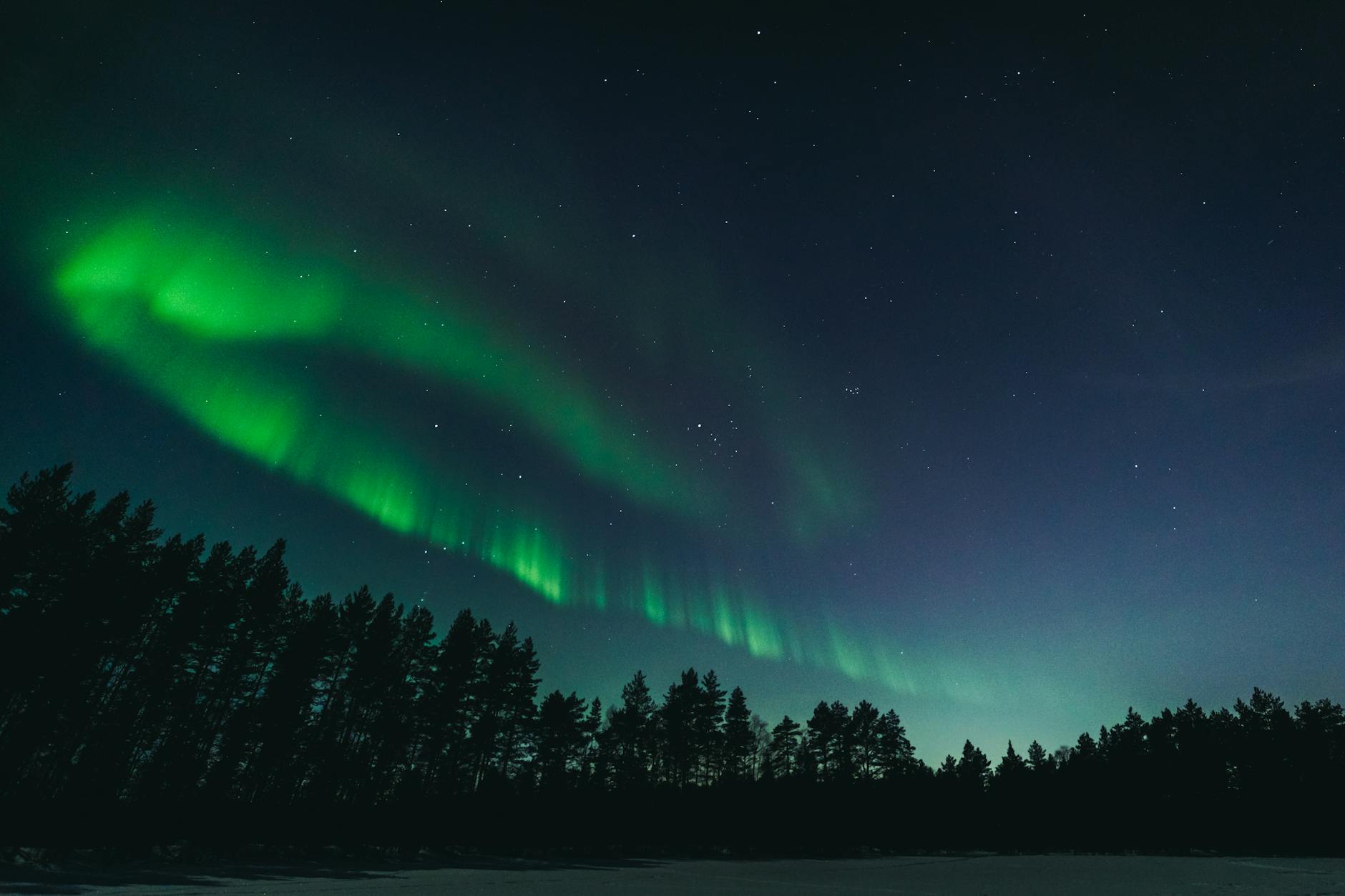 Breathtaking view of the Northern Lights over a serene forest in Oulu, Finland, under a starry night sky.