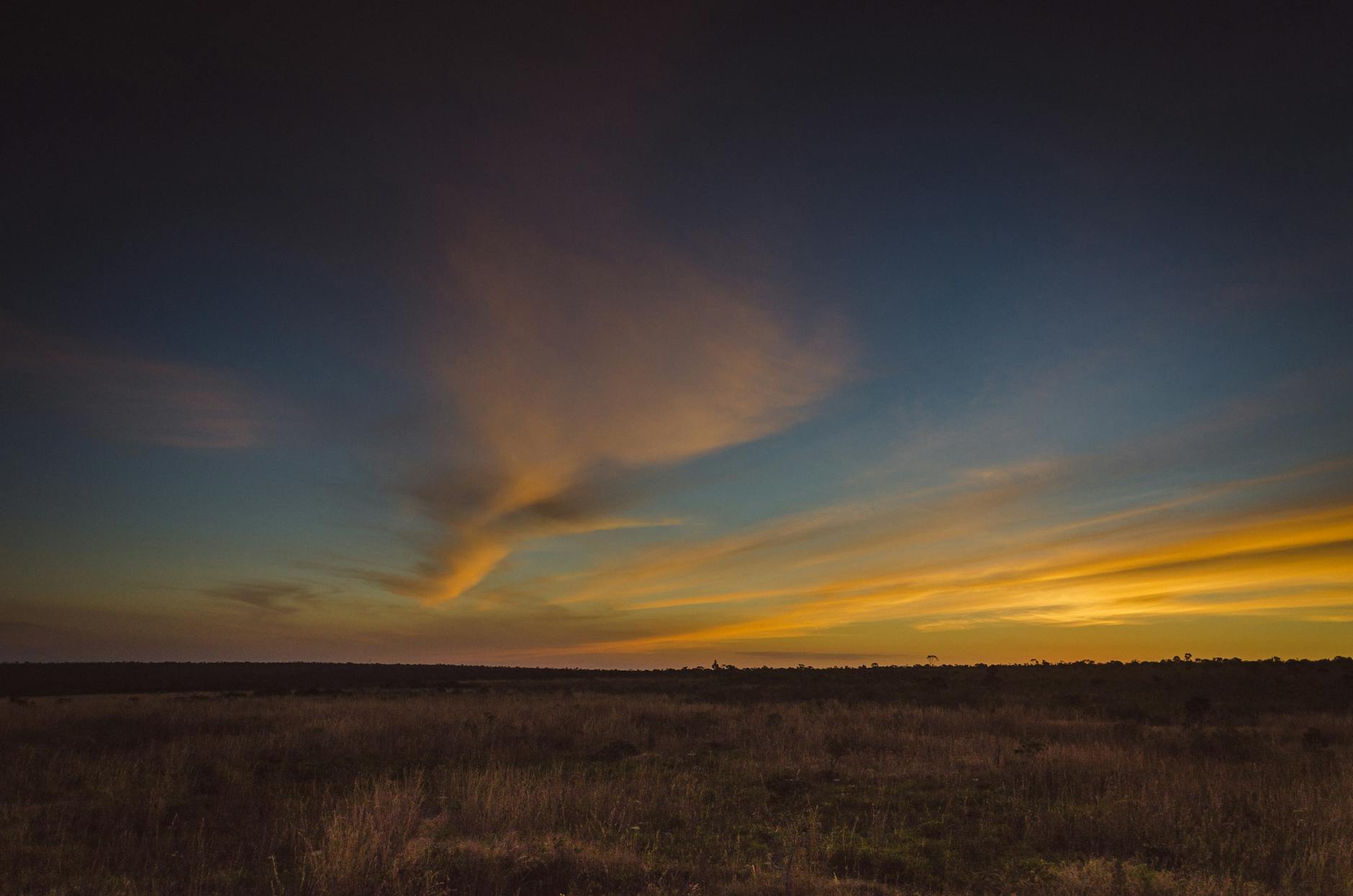 Beautiful sunset over the vast grasslands of the Cerrado, DF, Brazil, showcasing warm colors and a tranquil sky.